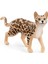 Schleich Bengal Kedisi 13918 1