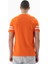 Erkek Regular Fit Bisiklet Yaka Tişört Y25344405801 7