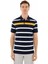 Erkek Regular Fit Polo Yaka Tişört Y25374306801 1