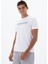 Erkek Slim Fit Bisiklet Yaka Tişört Y25344451801 4