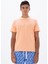 Erkek Regular Fit Bisiklet Yaka Tişört Y25344470001 1