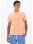 Erkek Regular Fit Bisiklet Yaka Tişört Y25344470001 3