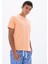 Erkek Regular Fit Bisiklet Yaka Tişört Y25344470001 6