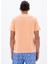 Erkek Regular Fit Bisiklet Yaka Tişört Y25344470001 8