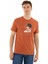 Erkek Regular Fit Bisiklet Yaka Tişört Y25344405601 5