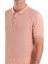 Somon Regular Fit Düz Pamuklu Polo Yaka Triko Tişört 5
