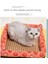 Kedi Yazlık Keten Soğutma Minderi Soğutma Matı (Yurt Dışından) 2