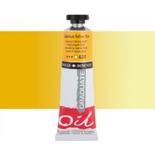 Daler Rowney Graduate Yağlı Boya 38ML 620 Cadmium Yellow Hue