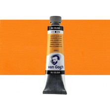 Talens Van Gogh Yağlı Boya 40ML Cadmium Yellow Deep 210 S.2