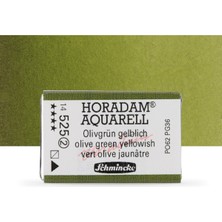 Schmincke Horadam Aquarell Tam Tablet Sulu Boya Olive Green Yellowish 525 S.2