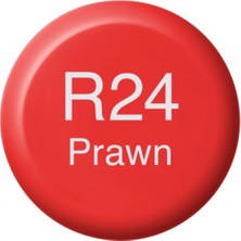 Copic Ink Marker Sketch Ciao Mürekkebi 12ML R24