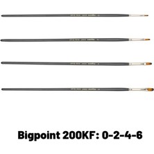 Bigpoint 200KF Serisi Sentetik Kıl Kedi Dili Fırça 4'lü Set 0-2-4-6