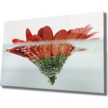 Eliza Home  Suda Kırmızı Çiçek Cam Tablo Red Flower