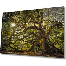 Eliza Home  Ağaç Orman Güneş Yeşil Cam Tablo