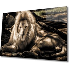 Eliza Home  Aslan Cam Tablo