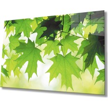 Eliza Home  Yeşil Yapraklar Cam Tablo   Green Leaves