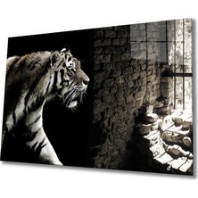 Eliza Home  Kaplan Kafeste Cam Tablo