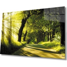 Eliza Home  Gün Batımı Orman Manzara Yeşil Cam Tablo
