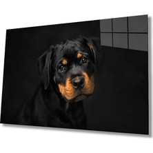 Eliza Home  Köpek Hayvan  Cam Tablo