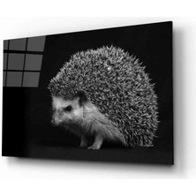 Eliza Home  Kirpi Hayvan  Cam Tablo