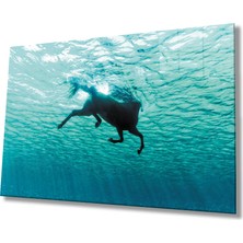 Eliza Home  Yüzen At  Sualtı Cam Tablo