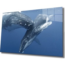 Eliza Home  Sualtı Cam Tablo Marine Life