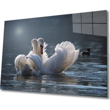 Eliza Home  Ördek Cam Tablo