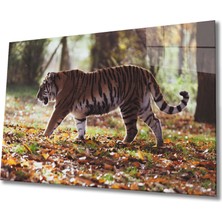 Eliza Home  Kaplan Cam Tablo