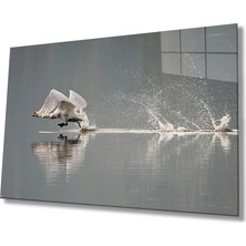 Eliza Home  Kuğu Cam Tablo