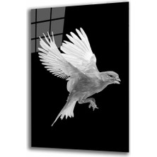 Miraax Kuş- Kanarya Hayvan  Cam Tablo