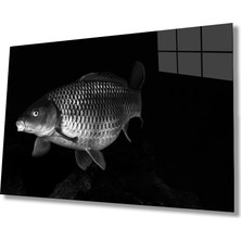 Eliza Home  Balık Hayvan  Cam Tablo