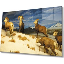 Eliza Home  Keçi  Hayvan Cam Tablo