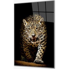 Eliza Home   Jaguar Cam Tablo