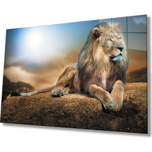 Eliza Home  Aslan Cam Tablo