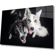 Eliza Home  Siyah Beyaz Köpekler Cam Tablo