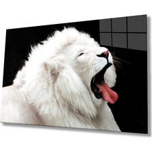 Eliza Home  Aslan Cam Tablo