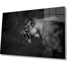 Eliza Home  Aslan Cam Tablo