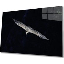 Eliza Home  Kartal Cam Tablo