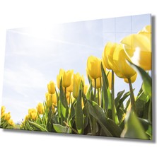 Eliza Home  Sarı Lale Cam Tablo Yellow Flowers