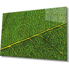 Eliza Home  Sarı Yeşil Yaprak Cam Tablo    Yellow Green Leaf