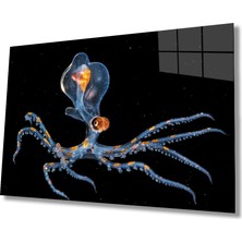 Eliza Home  Ahtapot Sualtı Cam Tablo