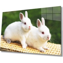 Eliza Home  Tavşanlar Cam Tablo