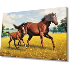 Eliza Home  Atlar Cam Tablo