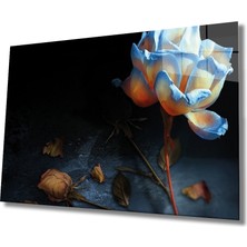 Eliza Home  Illüstrasyon Cam Tablo Illustration Art