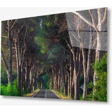 Eliza Home   Doğa Cam Tablo