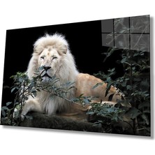 Eliza Home  Aslan Cam Tablo