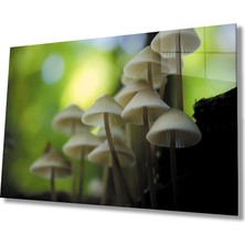 Eliza Home  Mantar Bitki Yeşil Cam Tablo