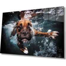Eliza Home  Yüzen Köpek Cam Tablo