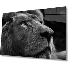 Eliza Home  Aslan Cam Tablo