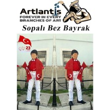 Artlantis Sopalı Bez Bayrak 30X45 cm 5 Adet Saplı Bayrak Ay Yıldız Plastik Çıtalı 30*45 Bez Bayrak Mill Bayram Kutlama